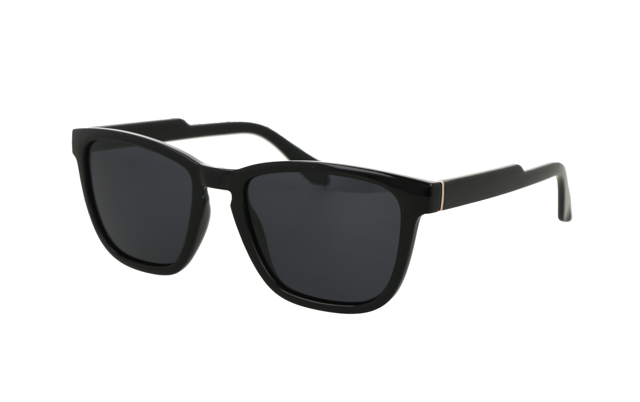 Lentes de sol con montura negra mate.
