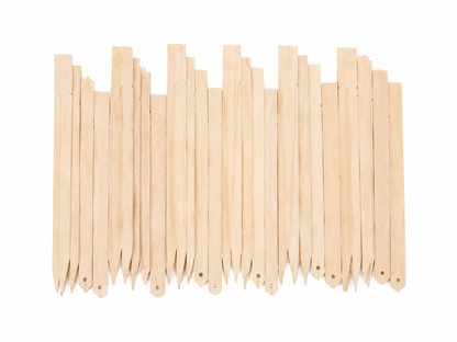 Conjunto de etiquetas de madera para identificación de plantas y jardinería.