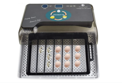 Incubadora automática de huevos diseñada para aves de corral.