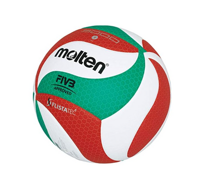 Balón de Volley Ball V5M5000.