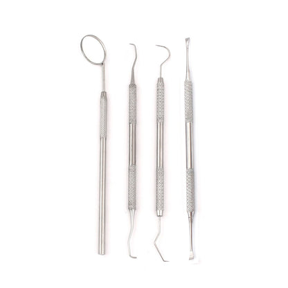 Kit básico de higiene dental de acero inoxidable