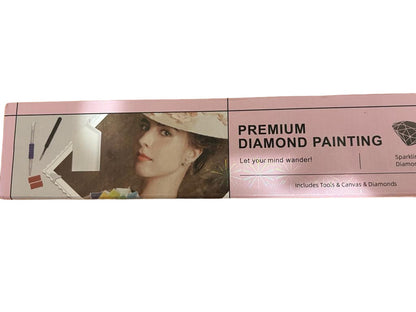 Kit de pintura con diamantes con lienzo, herramientas y piedras decorativas.