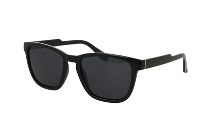 Lentes de sol con montura negra mate.