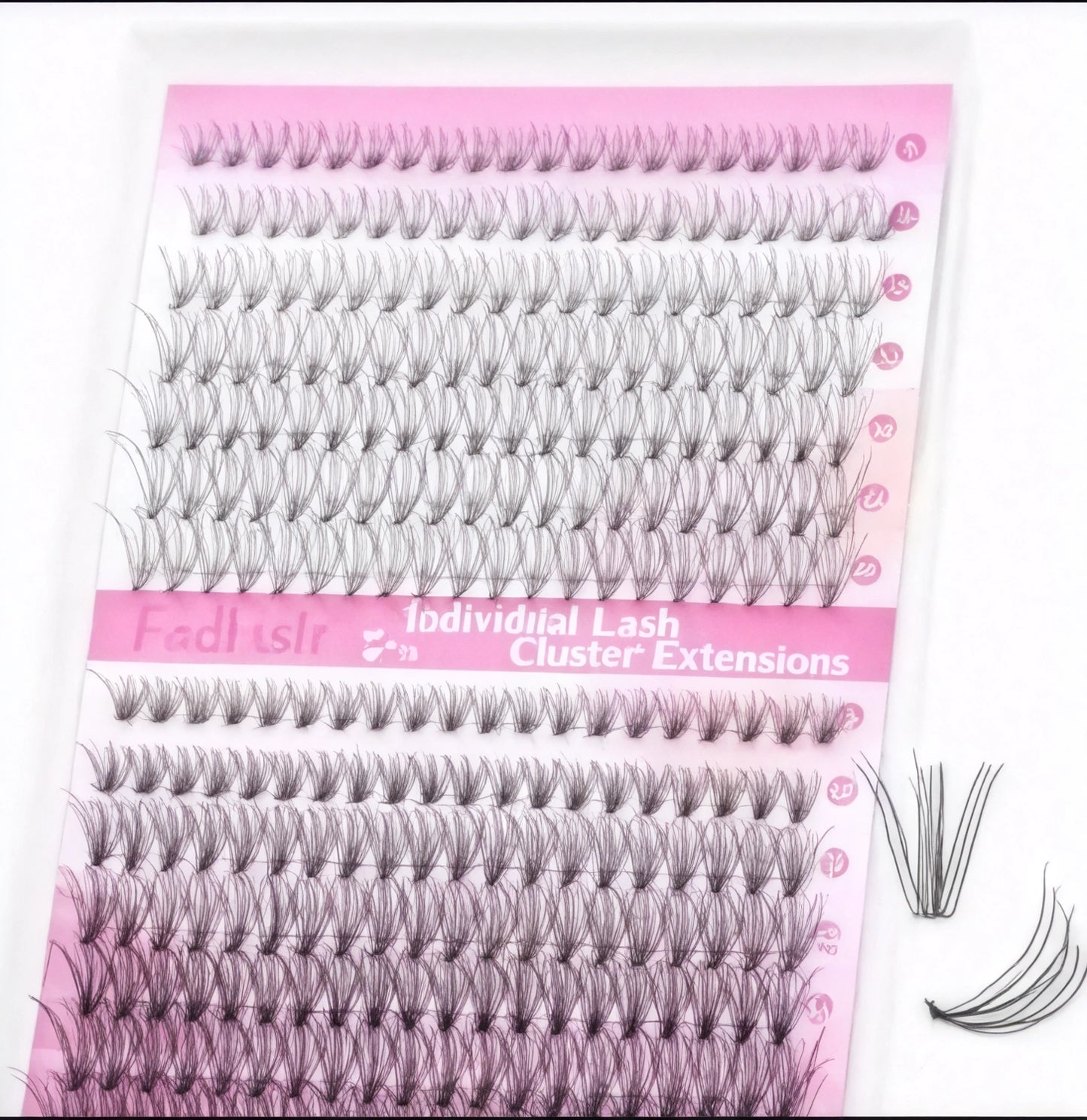 Bandeja de extensiones de pestañas individuales mixtas