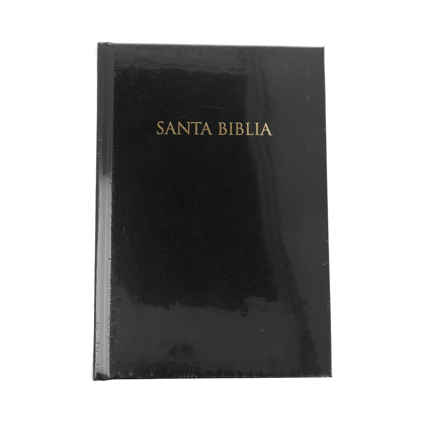 Santa biblia